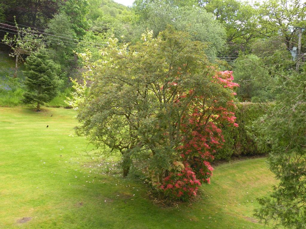 Country house Thistle House Saint Catherines